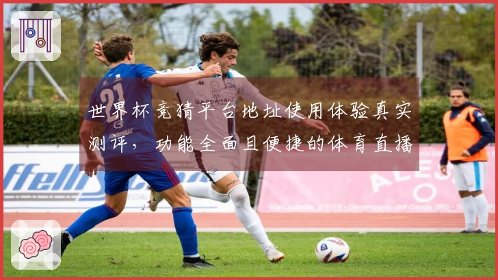 世界杯竞猜平台地址使用体验真实测评，功能全面且便捷的体育直播平台选用指南
