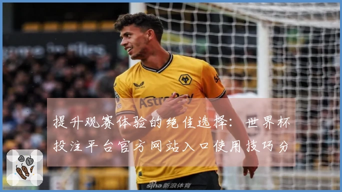 提升观赛体验的绝佳选择：世界杯投注平台官方网站入口使用技巧分享