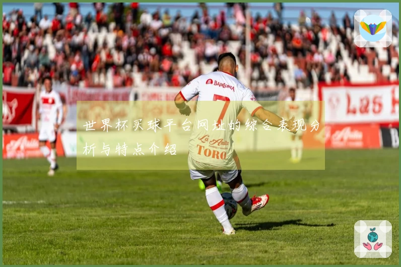 世界杯买球平台网址的综合表现分析与特点介绍