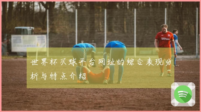 世界杯买球平台网址的综合表现分析与特点介绍