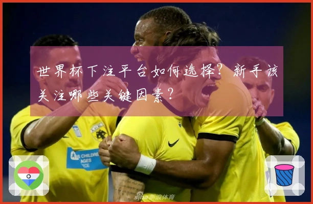 世界杯下注平台如何选择?新手该关注哪些关键因素?