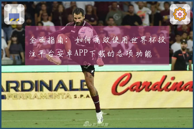 全面指南：如何高效使用世界杯投注平台安卓APP下载的各项功能