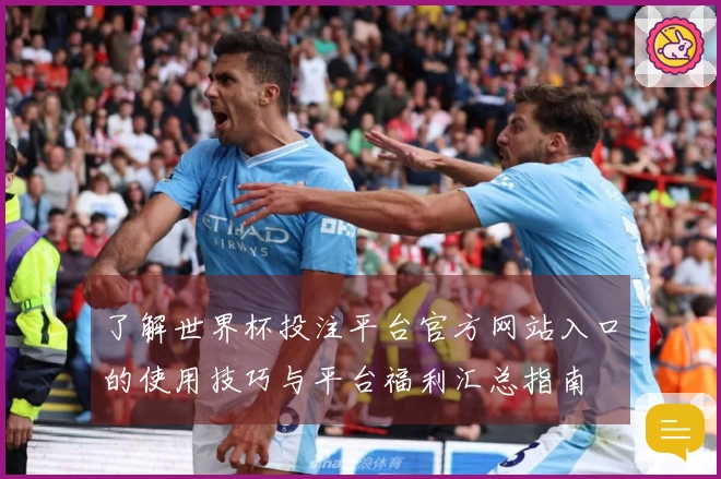 了解世界杯投注平台官方网站入口的使用技巧与平台福利汇总指南