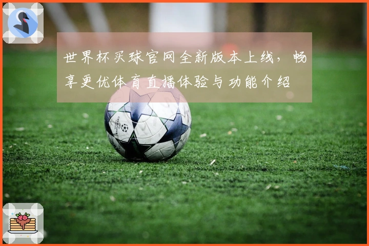 世界杯买球官网全新版本上线，畅享更优体育直播体验与功能介绍