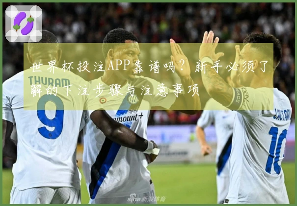 世界杯投注APP靠谱吗？新手必须了解的下注步骤与注意事项