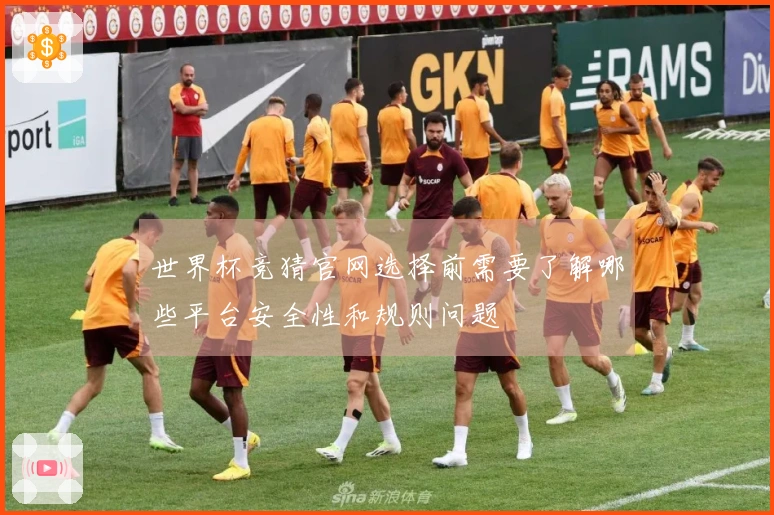 世界杯竞猜官网选择前需要了解哪些平台安全性和规则问题