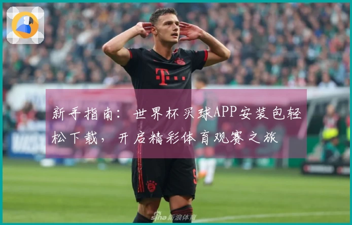 新手指南：世界杯买球APP安装包轻松下载，开启精彩体育观赛之旅