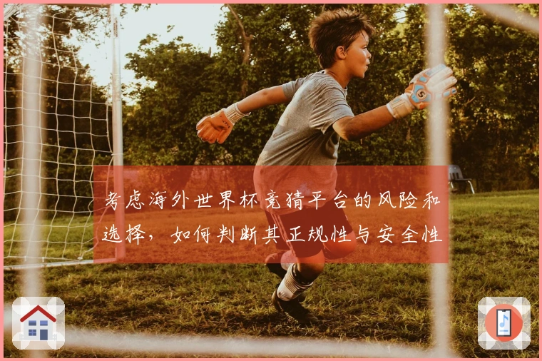 考虑海外世界杯竞猜平台的风险和选择，如何判断其正规性与安全性
