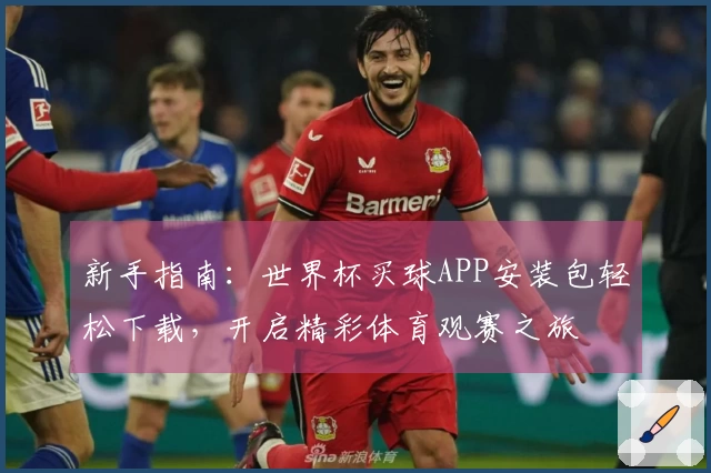 新手指南：世界杯买球APP安装包轻松下载，开启精彩体育观赛之旅