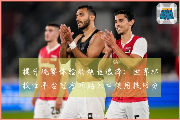 提升观赛体验的绝佳选择：世界杯投注平台官方网站入口使用技巧分享