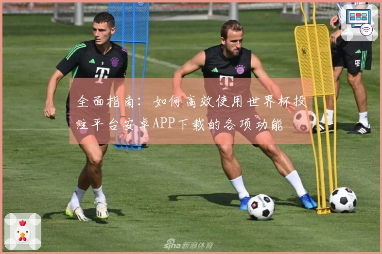 全面指南：如何高效使用世界杯投注平台安卓APP下载的各项功能