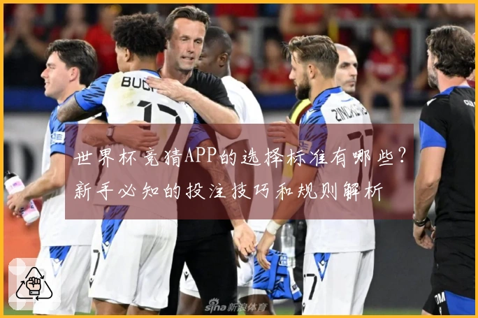 世界杯竞猜APP的选择标准有哪些？新手必知的投注技巧和规则解析