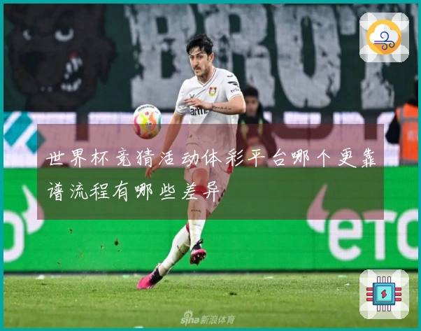 世界杯竞猜活动体彩平台哪个更靠谱流程有哪些差异