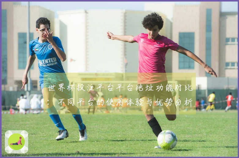世界杯投注平台平台地址功能对比：不同平台的使用体验与优势分析