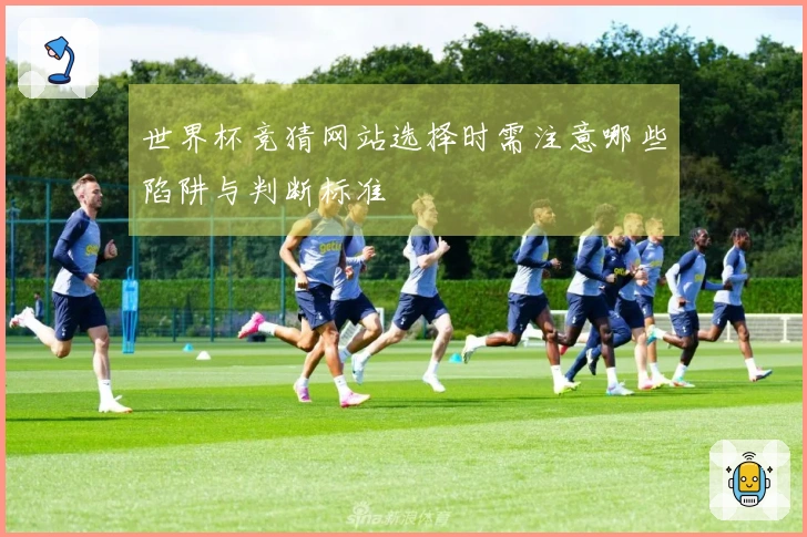世界杯竞猜网站选择时需注意哪些陷阱与判断标准
