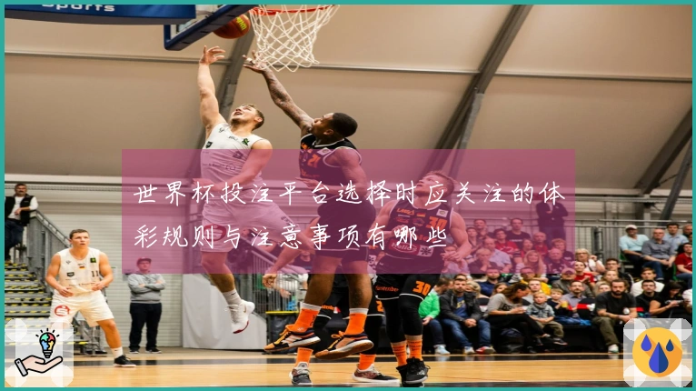世界杯投注平台选择时应关注的体彩规则与注意事项有哪些
