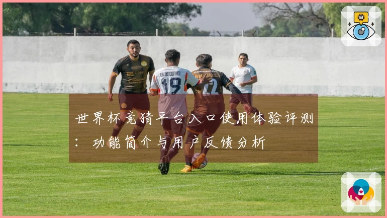 世界杯竞猜平台入口使用体验评测：功能简介与用户反馈分析