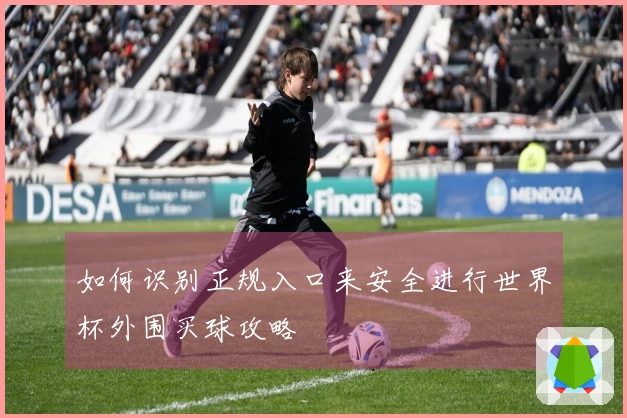 如何识别正规入口来安全进行世界杯外围买球攻略