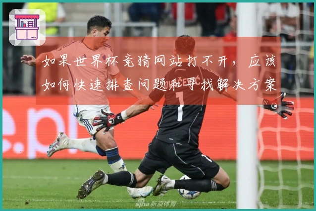 如果世界杯竞猜网站打不开，应该如何快速排查问题和寻找解决方案？