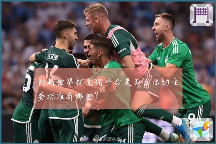 判断世界杯竞猜平台是否合法的主要标准有哪些？