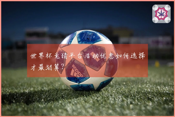 世界杯竞猜平台活动优惠如何选择才最划算？