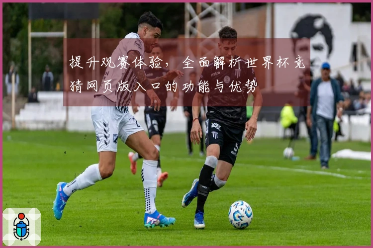 提升观赛体验，全面解析世界杯竞猜网页版入口的功能与优势