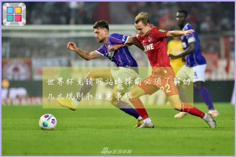 世界杯竞猜网站选择前必须了解的几大规则和注意事项